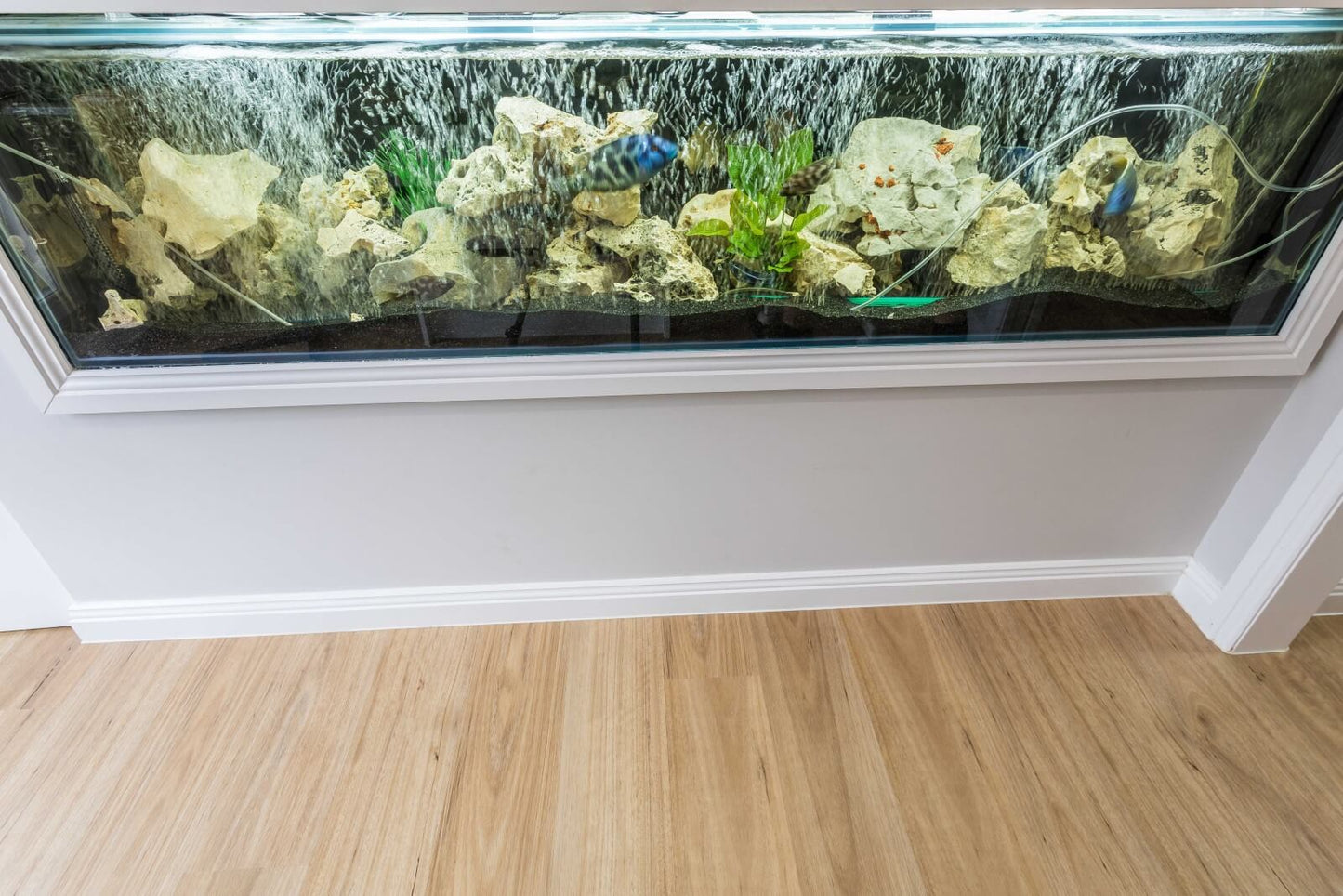 Spotted Gum – 6mm Hybrid Flooring | Homely Flooring