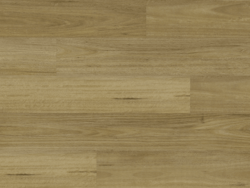 Spotted Gum – 6mm Hybrid Flooring | Homely Flooring