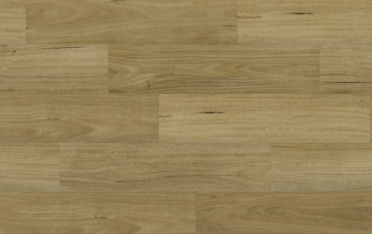 Spotted Gum – Scotia Trim | Homely Flooring